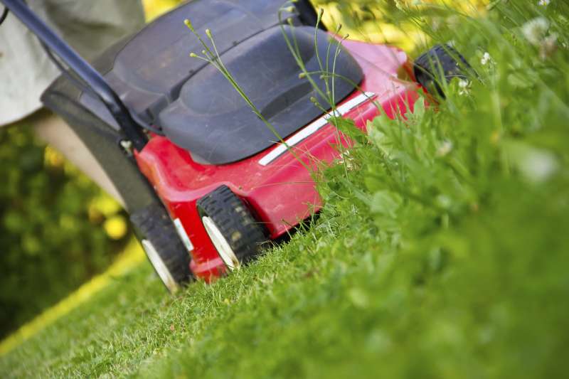 Lawn Health Assessments